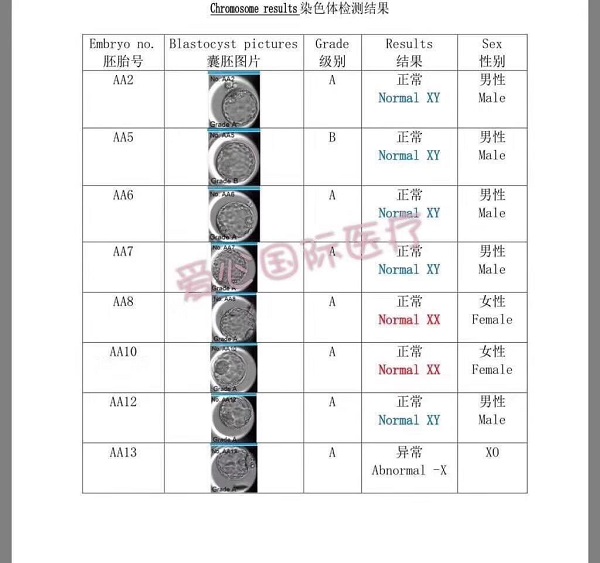 【爱医胚胎喜讯】47岁妈妈想怀孕 13个胚胎做检查 10个全部正常