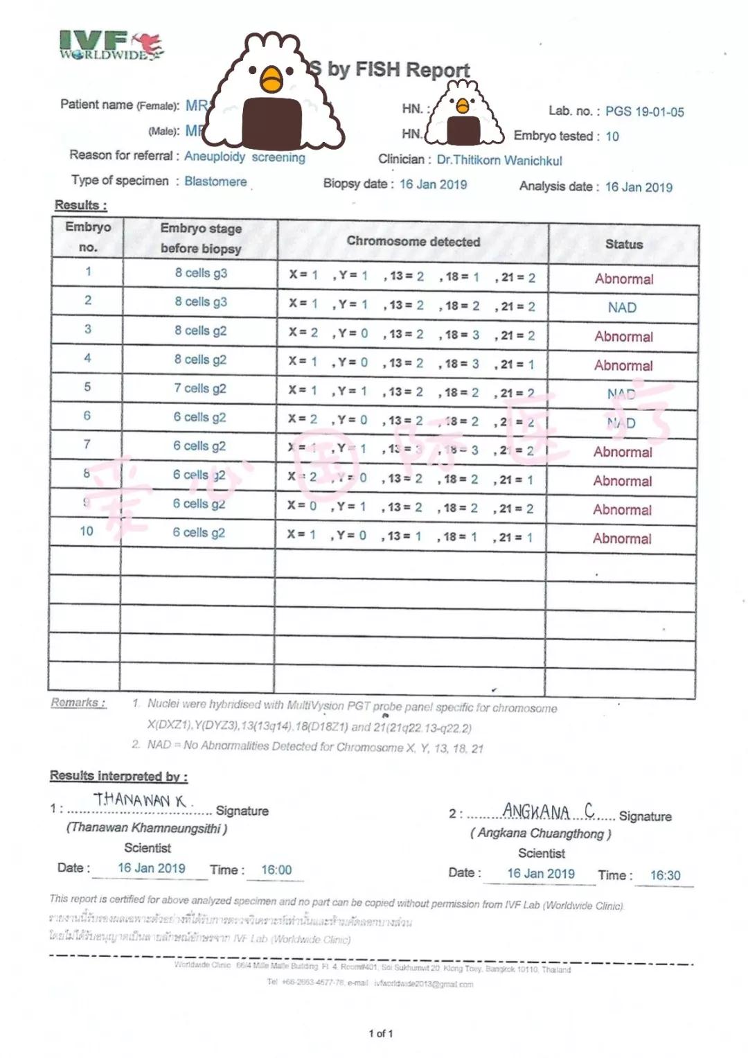 【泰国试管婴儿生男孩】国内诊断不可育，广东33岁毅然选择泰国终圆梦！