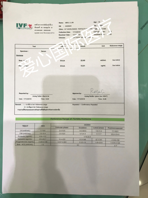 成功案例