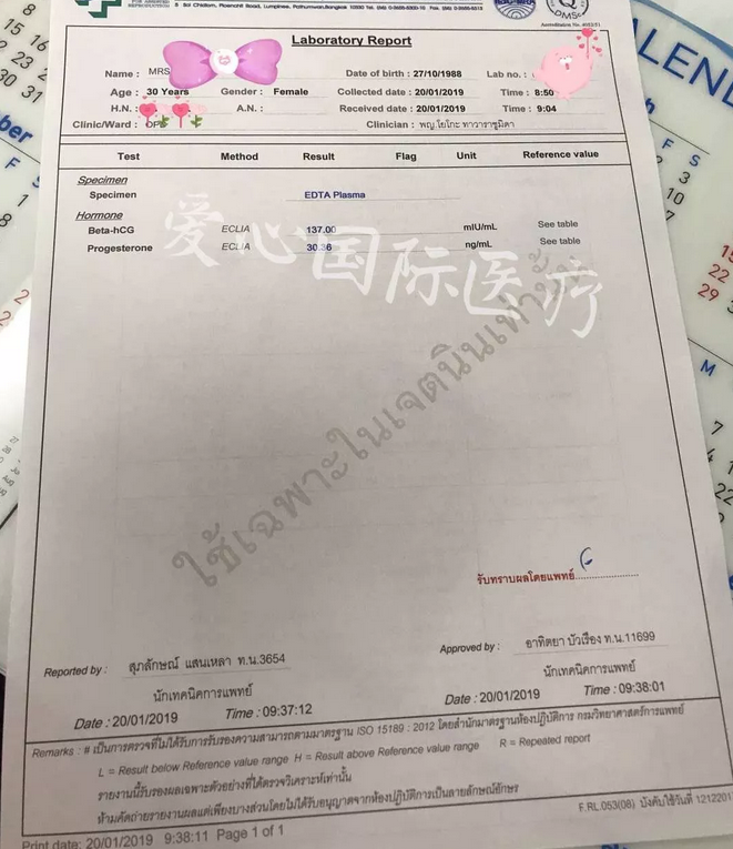 成功案例