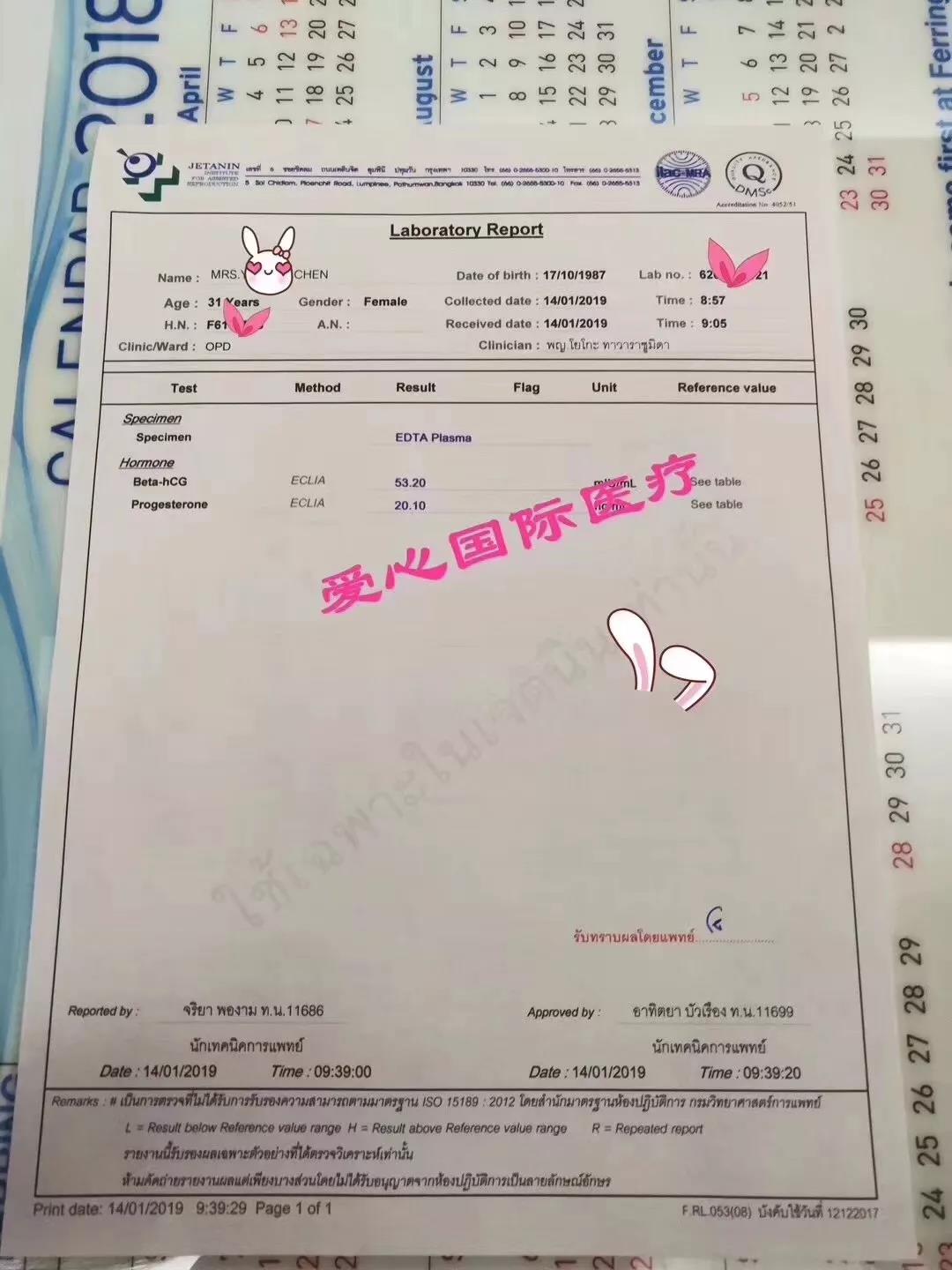 成功案例