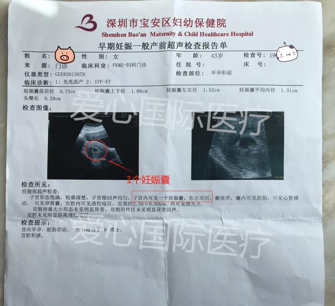 爱心国际成功案例