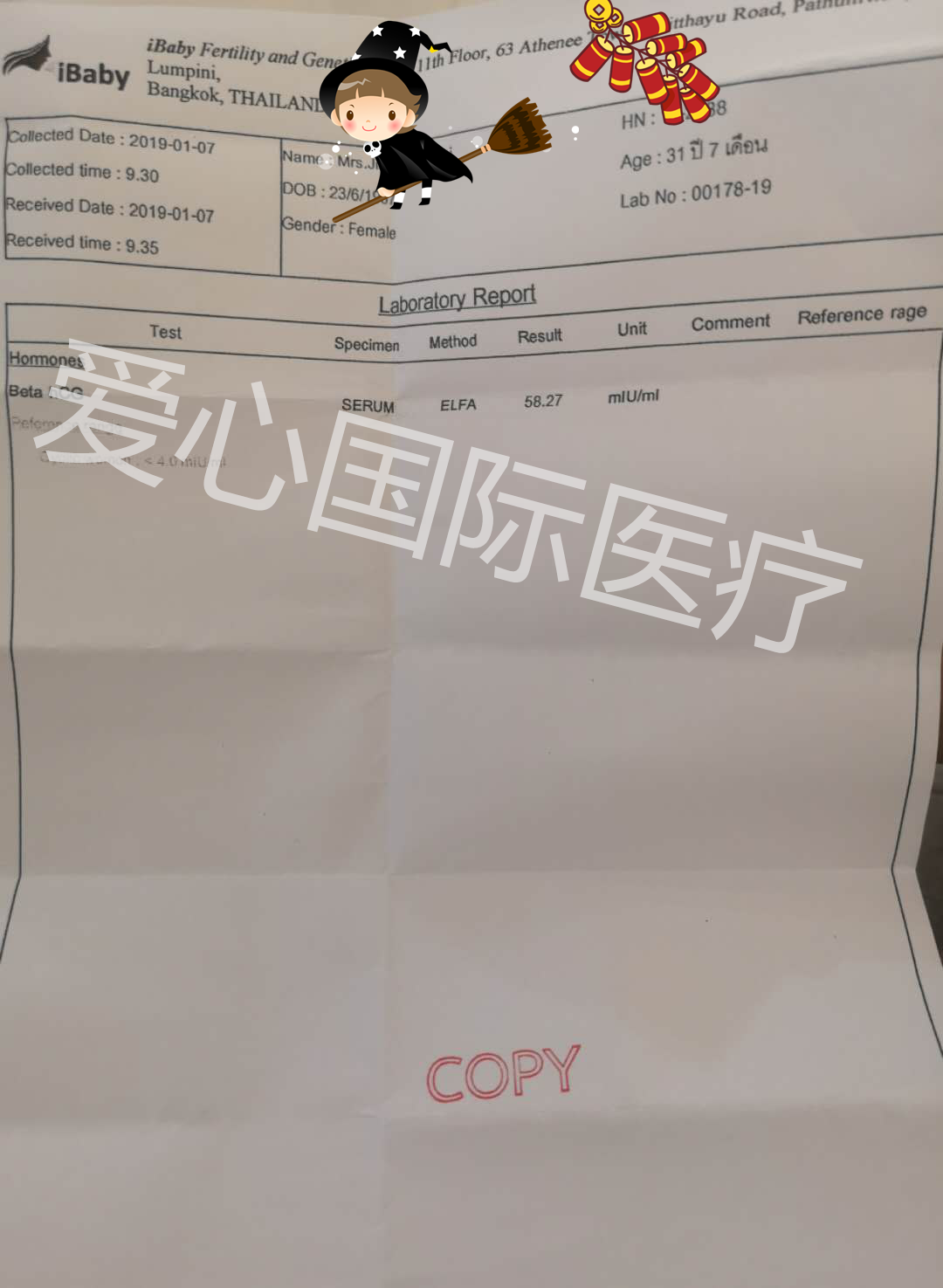 成功案例