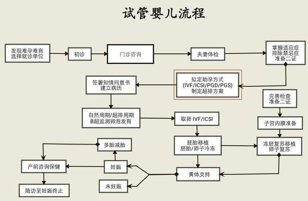 泰国试管婴儿流程图