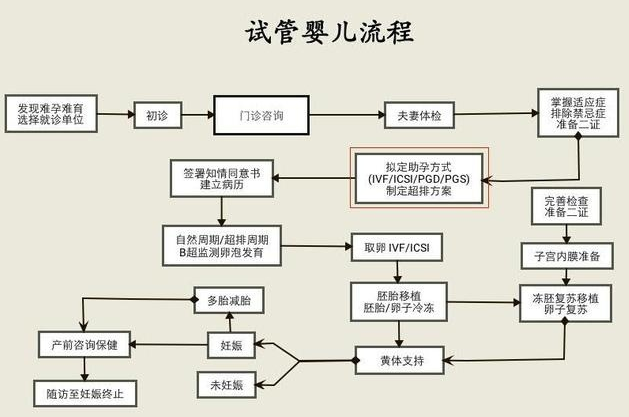 泰国试管婴儿流程